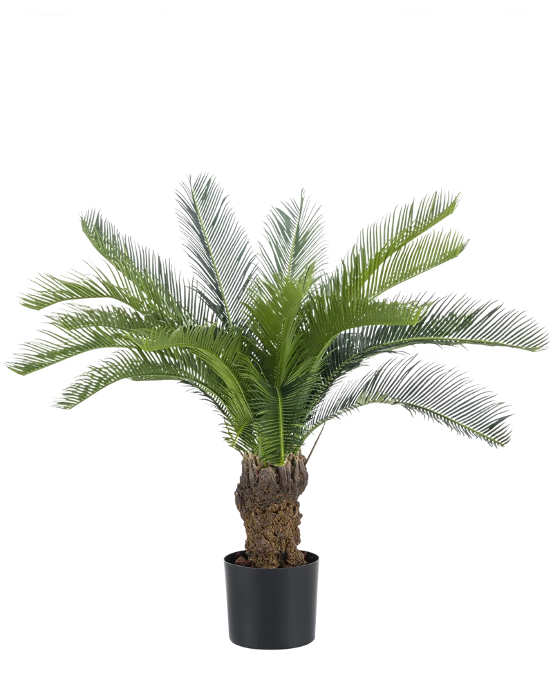 Kunstplant Cycaspalm 80 cm