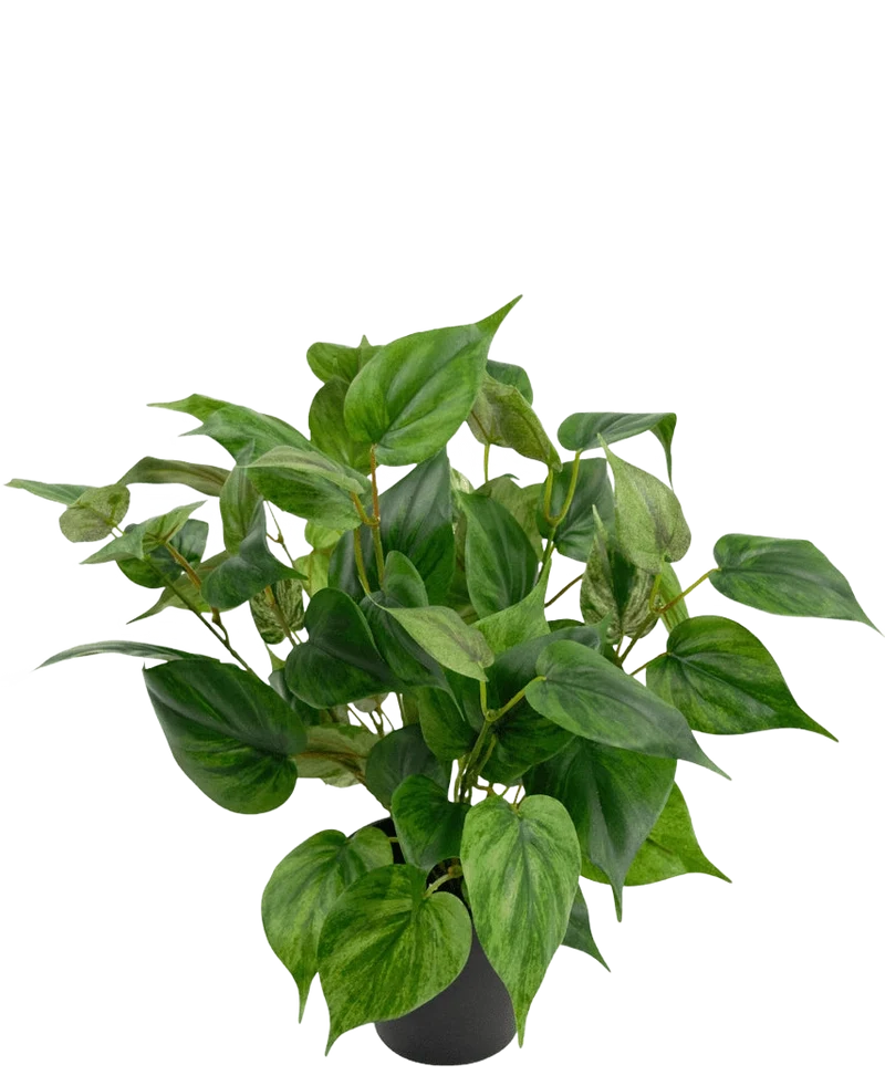 Kunstplant Philodendron in pot 35 cm