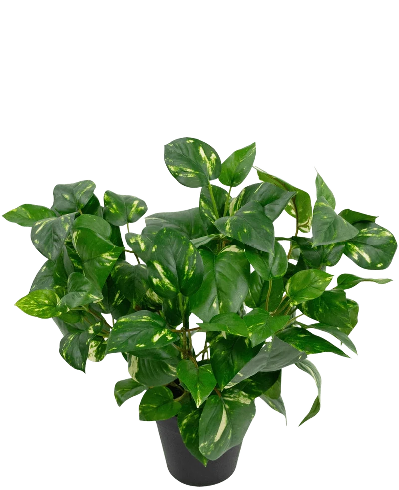 Kunstplant Gouden Wijnstok in Pot 40cm