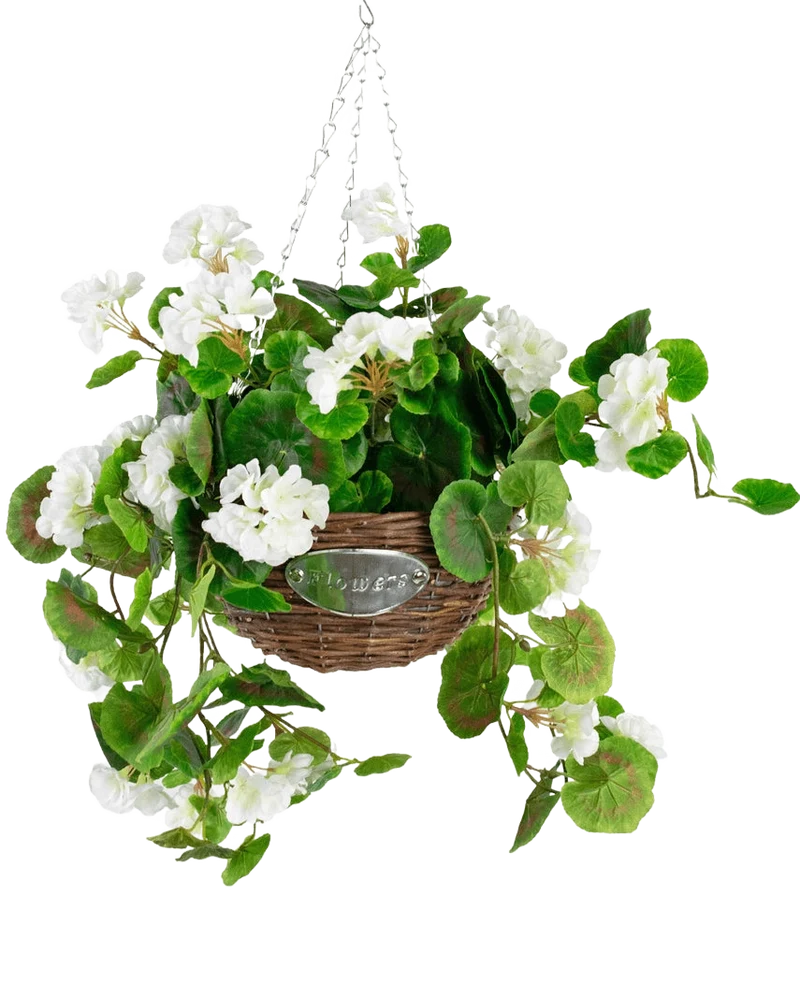 Kunst begonia Wit in Mand UV 70cm