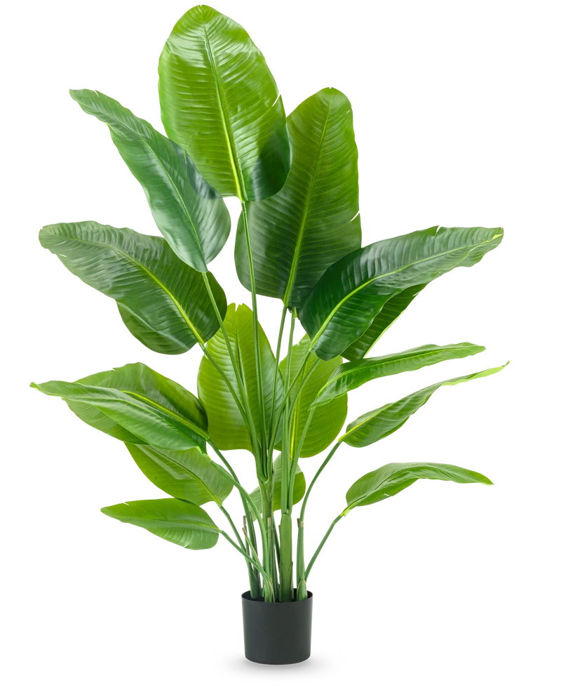 Kunstplant Strelitzia Real Touch Deluxe 150 cm