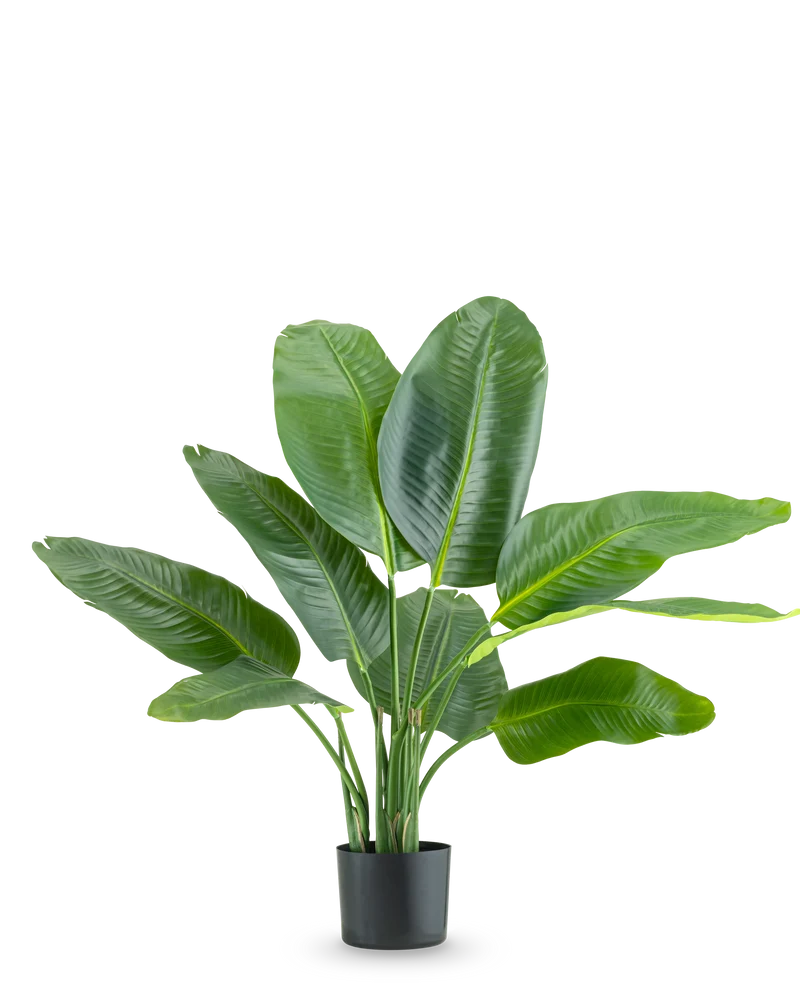 Kunstplant Strelitzia Real Touch Deluxe 90 cm