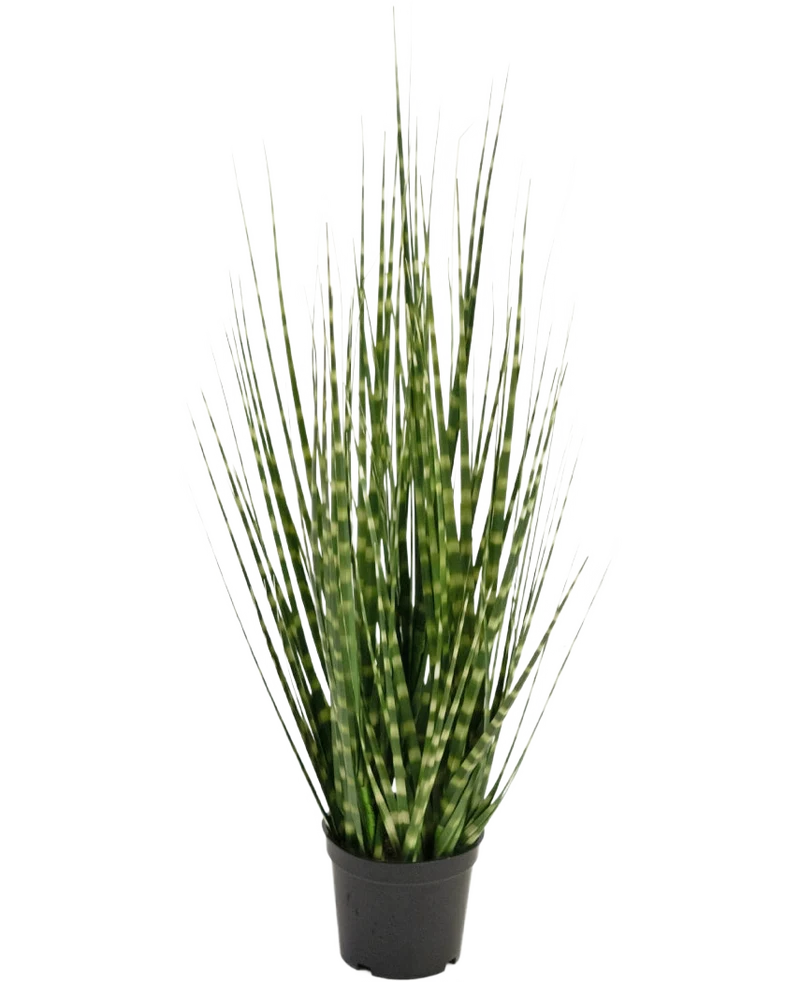 Kunstgras Zebra uiengras tak 56 cm brandvertragend