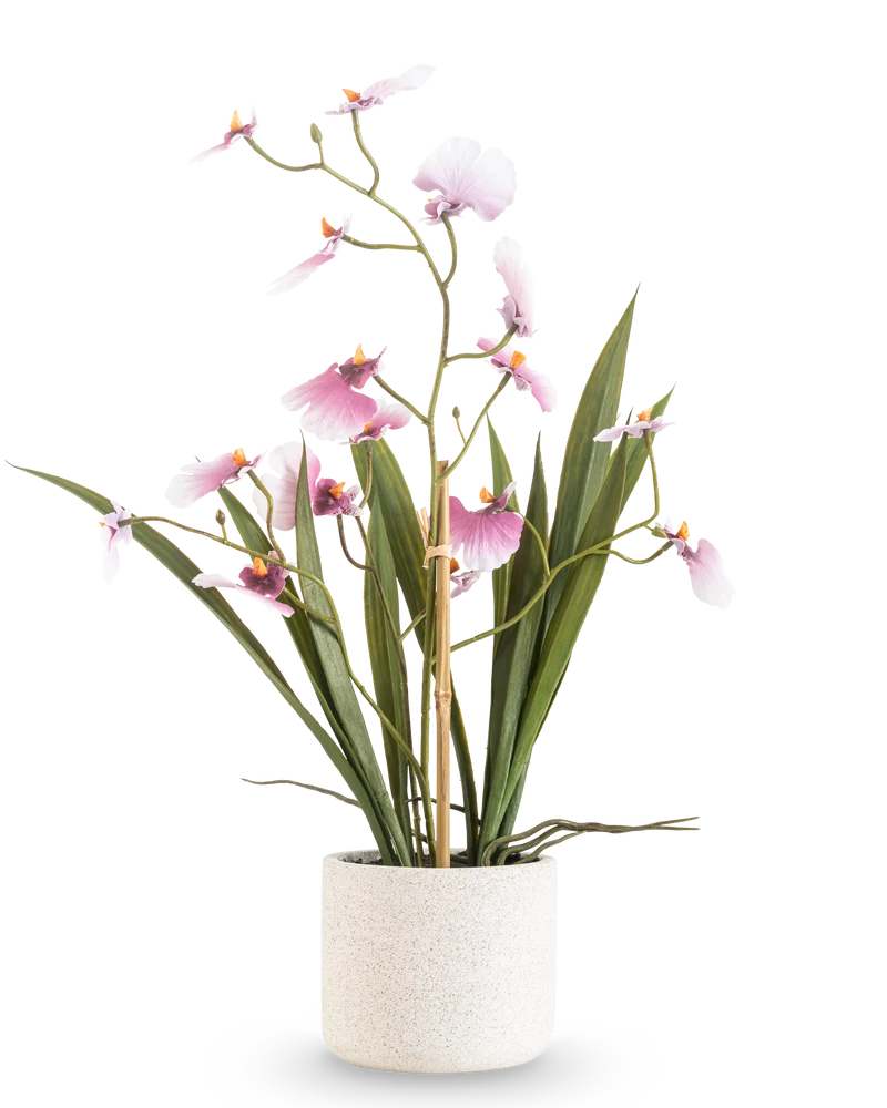 Kunst Oncidium Real Touch 48 cm roze