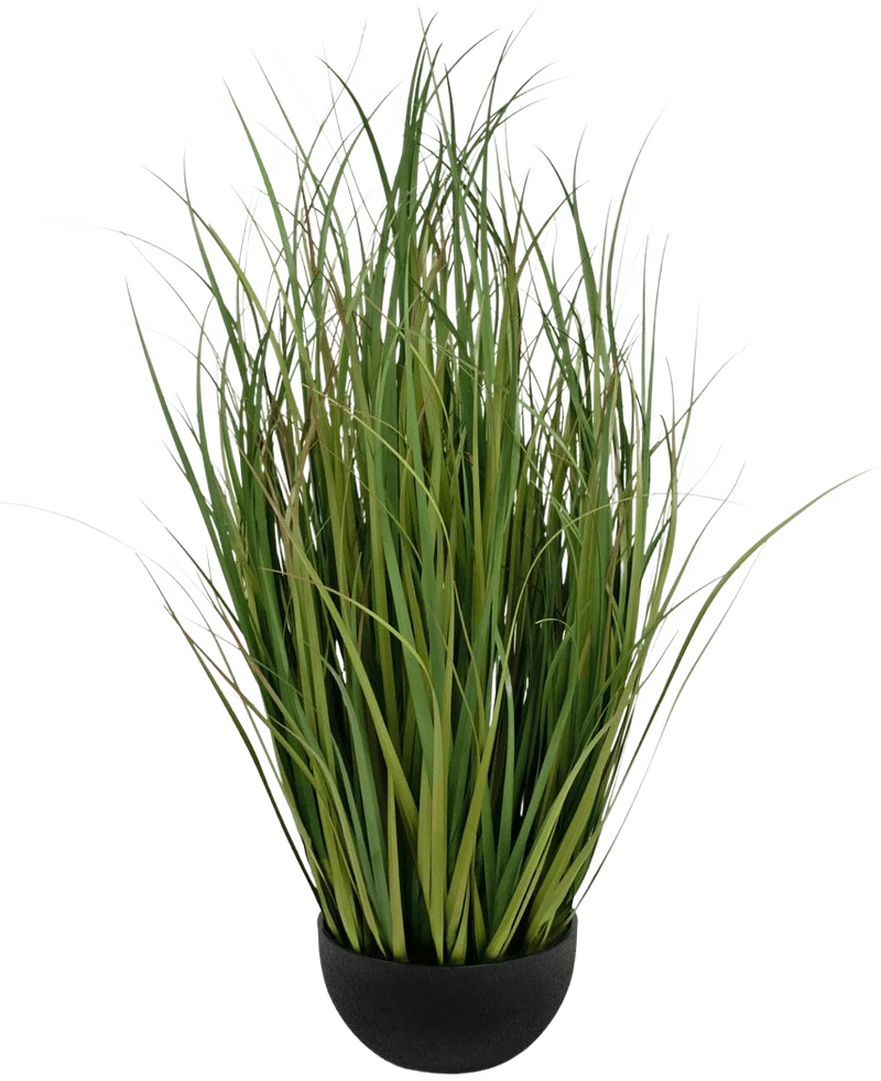 Kunstgras Dogtail uiengras Bran 90 cm brandvertragend