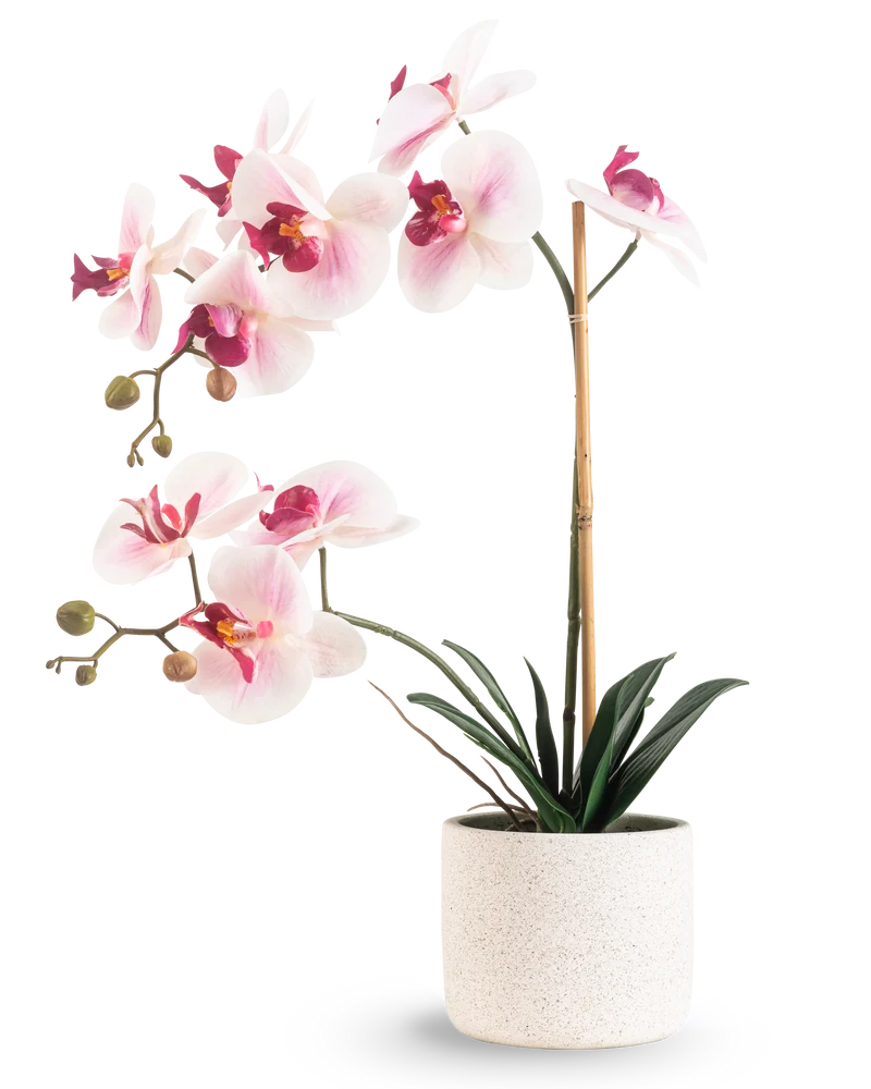 Kunst Orchidee Real Touch 60 cm roze/wit