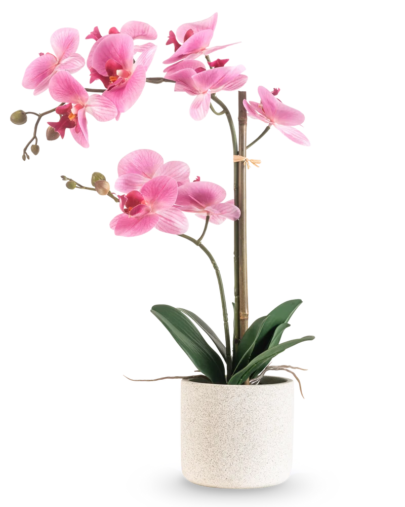 Kunst Orchidee Real Touch 60 cm roze/wit