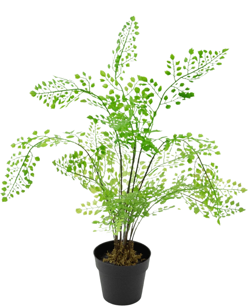 Kunstplant Varen 35 cm
