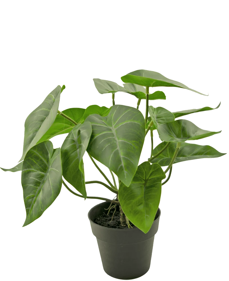 Kunstplant Swan 27 cm