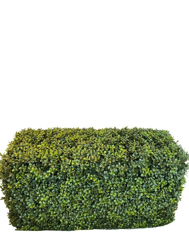 Kunsthaag Buxus Romeinse Stijl 90 x 35 x 50 cm