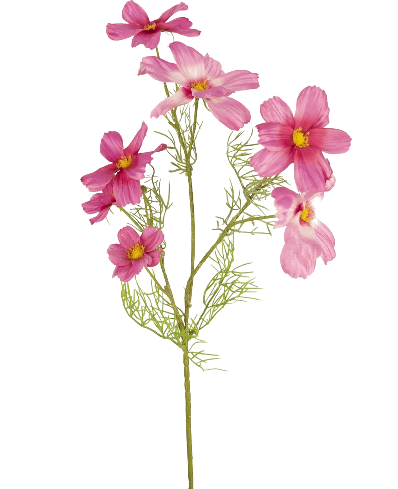 Kunstbloem Cosmos 74 cm fuchsia