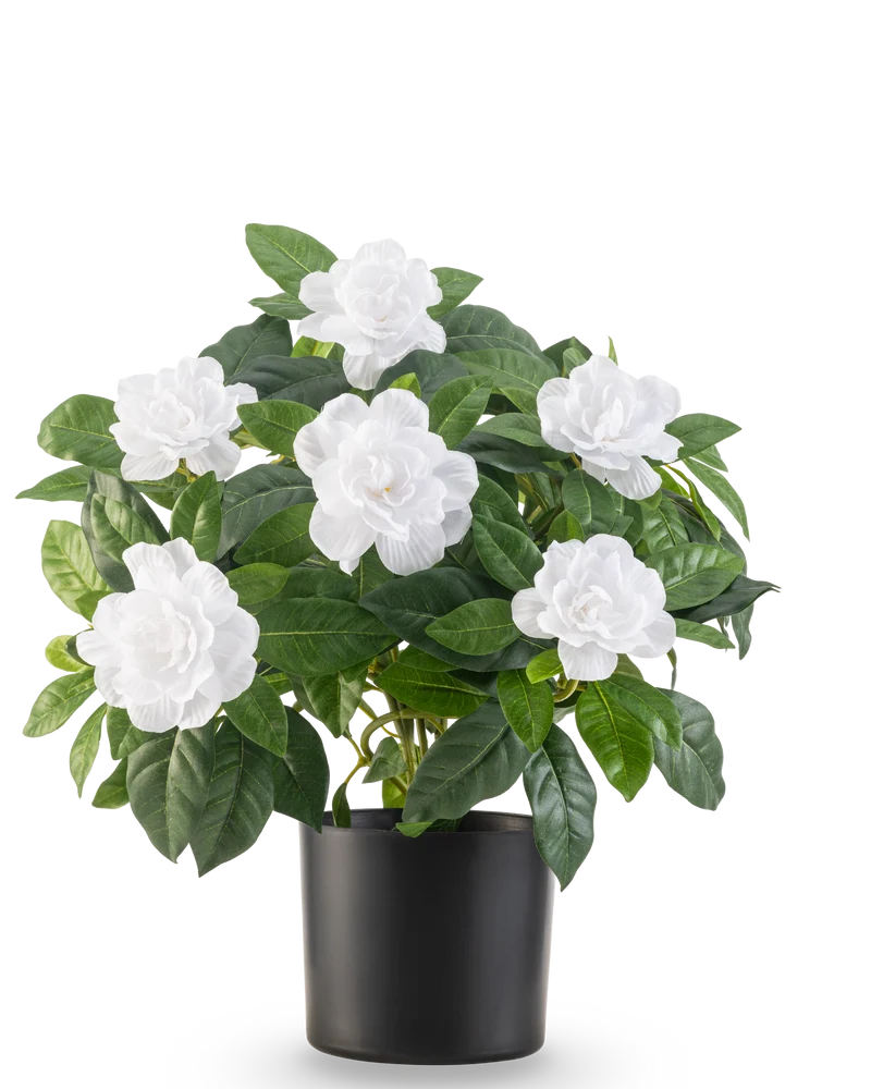 Kunstplant Gardenia UV 39 cm wit