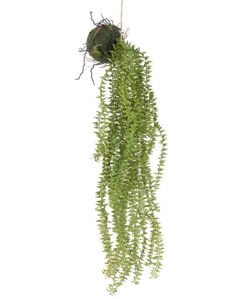 Kunst hangplant Phlegmariurus bal 55 cm