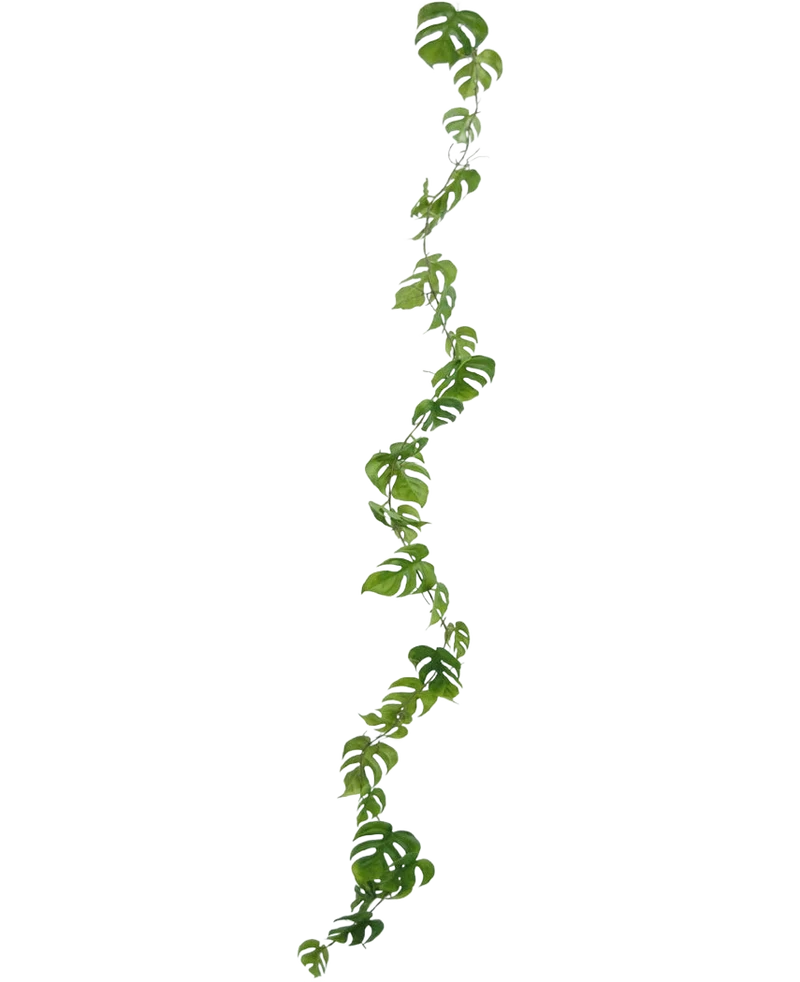 Kunst slingerplant Monstera 182 cm