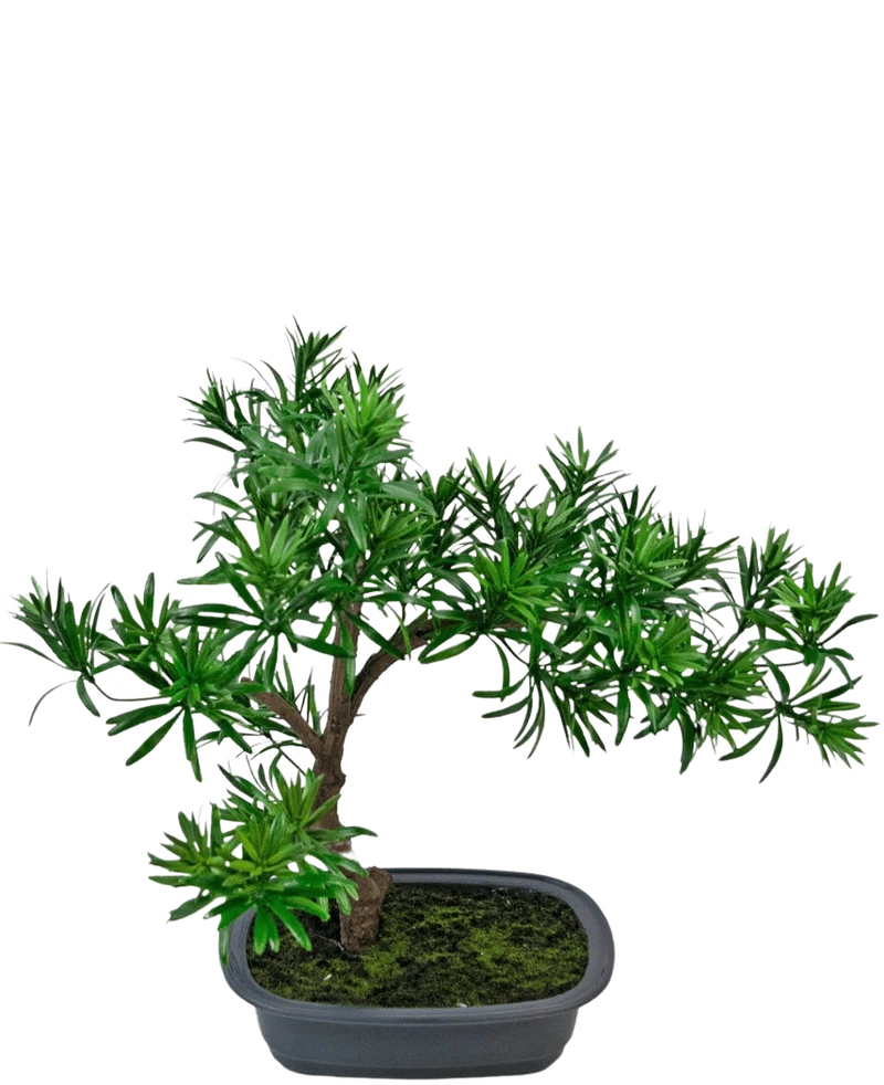 Kunstplant Bonsai Podocarpus 40 cm