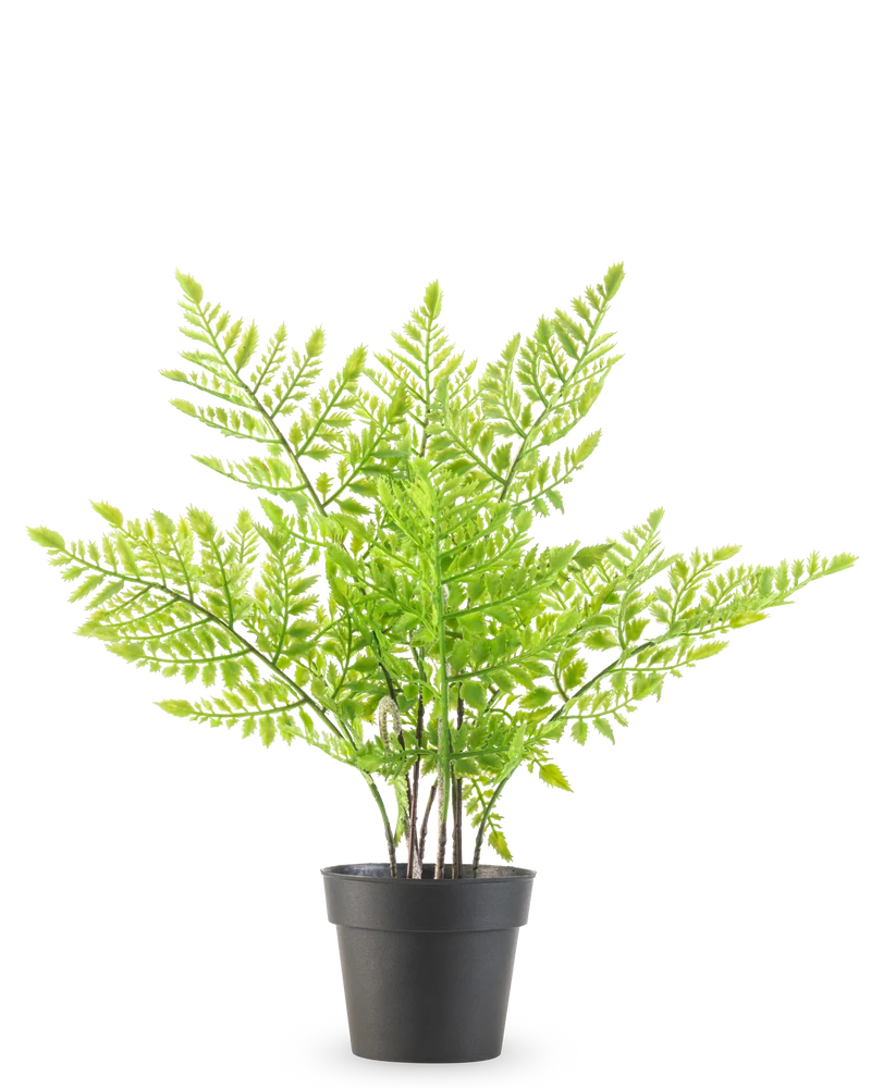 Kunstplant Varen 35 cm