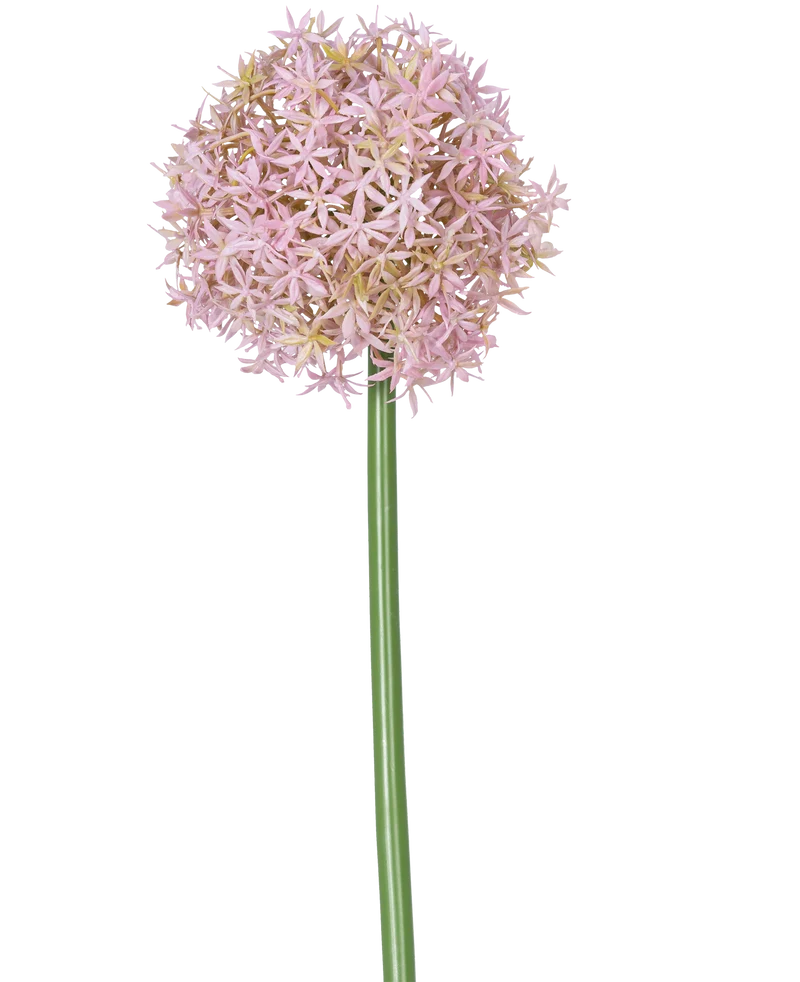 Kunstbloem Allium Groot 80 cm paars