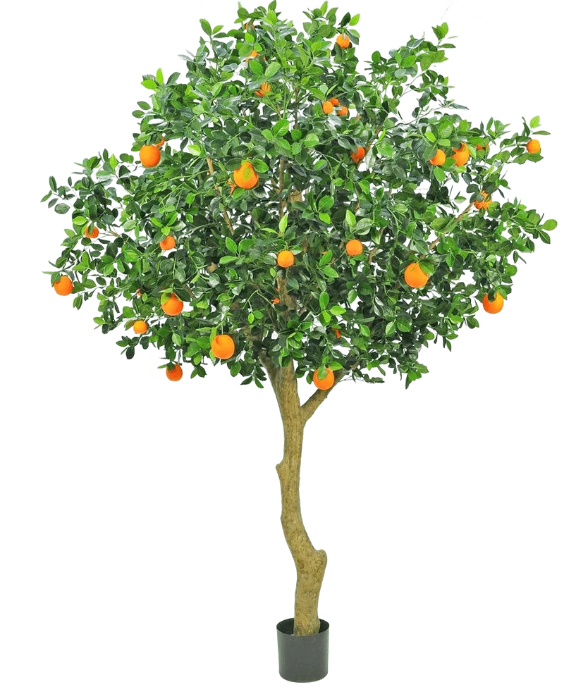 Kunstboom Sinaasappel 275 cm