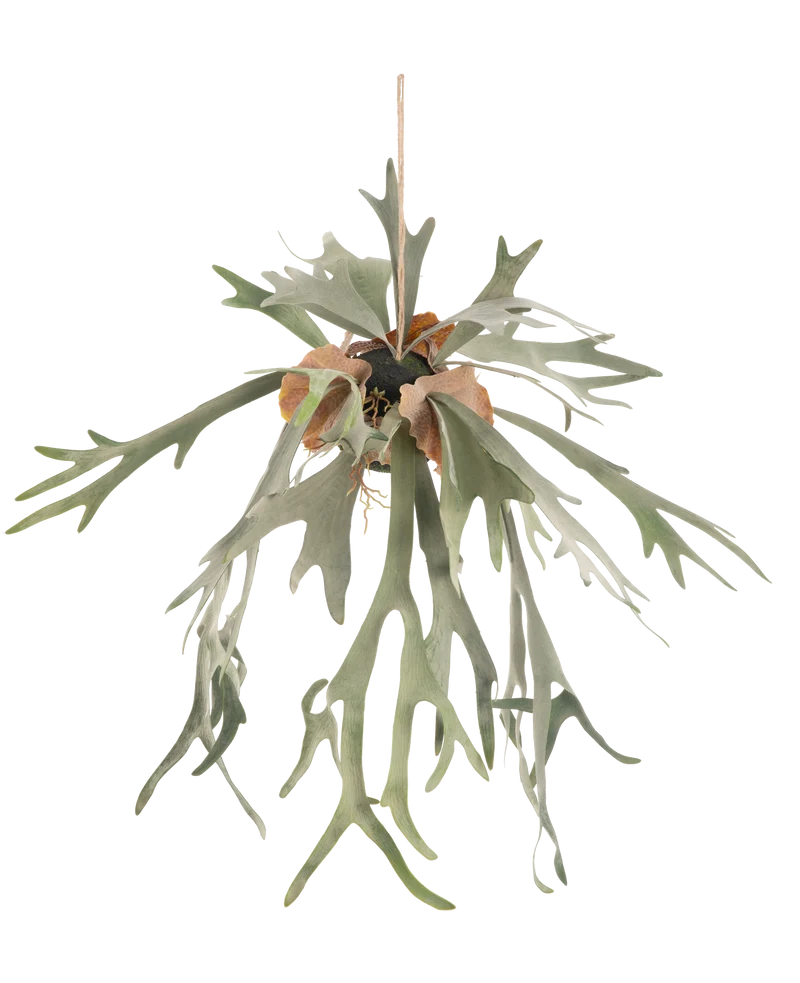 Kunst hangplant Staghorn op bal 89 cm