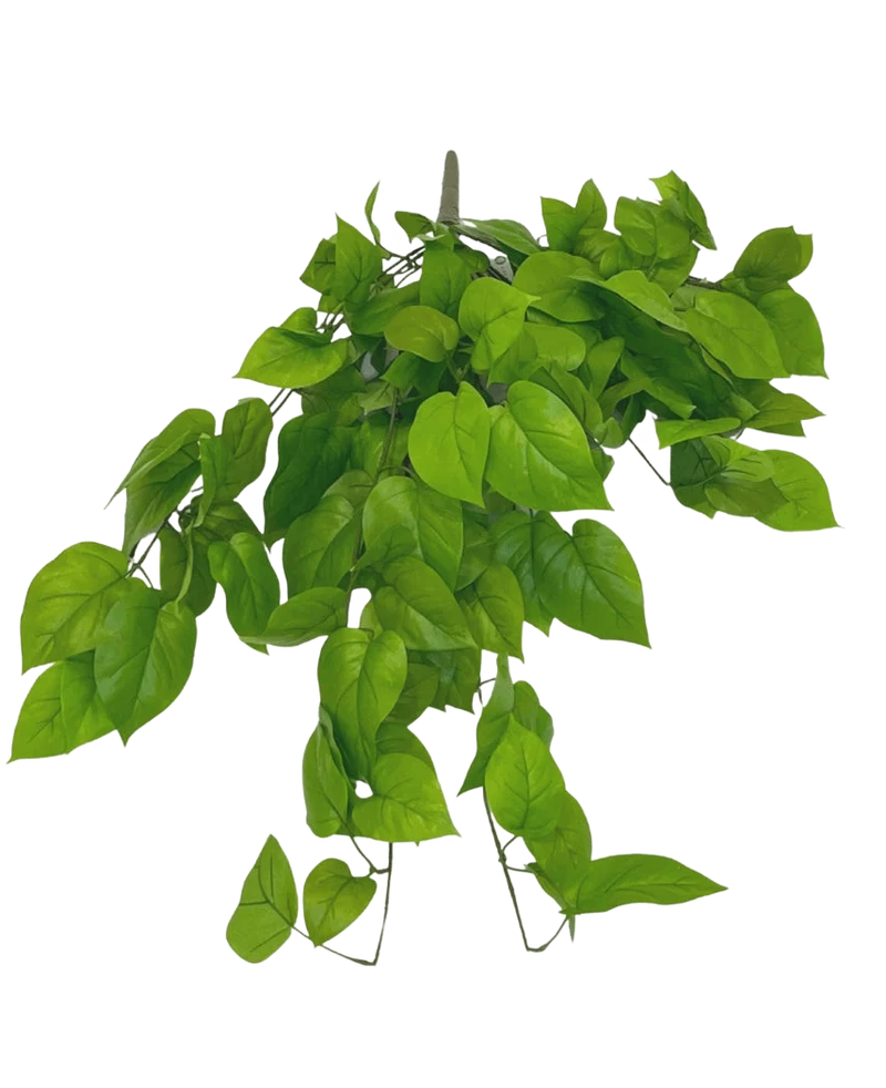 Kunst Pothos Struik Deluxe 90cm