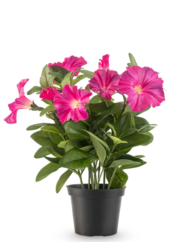 Kunstbloem Petunia plant UV 25 cm donker roze