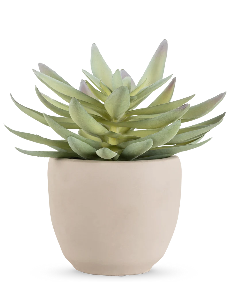 Kunst vetplant 18 cm