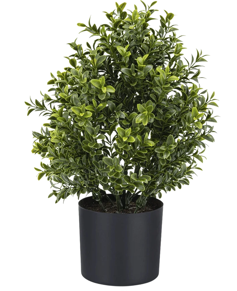 Kunstplant Buxus Romeinse stijl UV 36cm