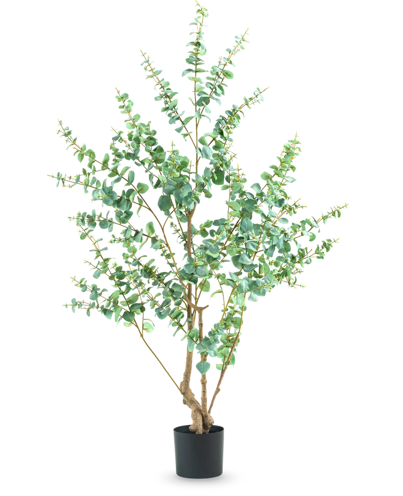 Kunstplant Eucalyptus 180 cm