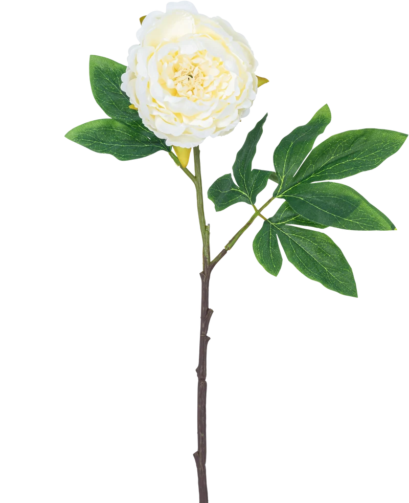 Kunstbloem Pioenroos 61 cm wit
