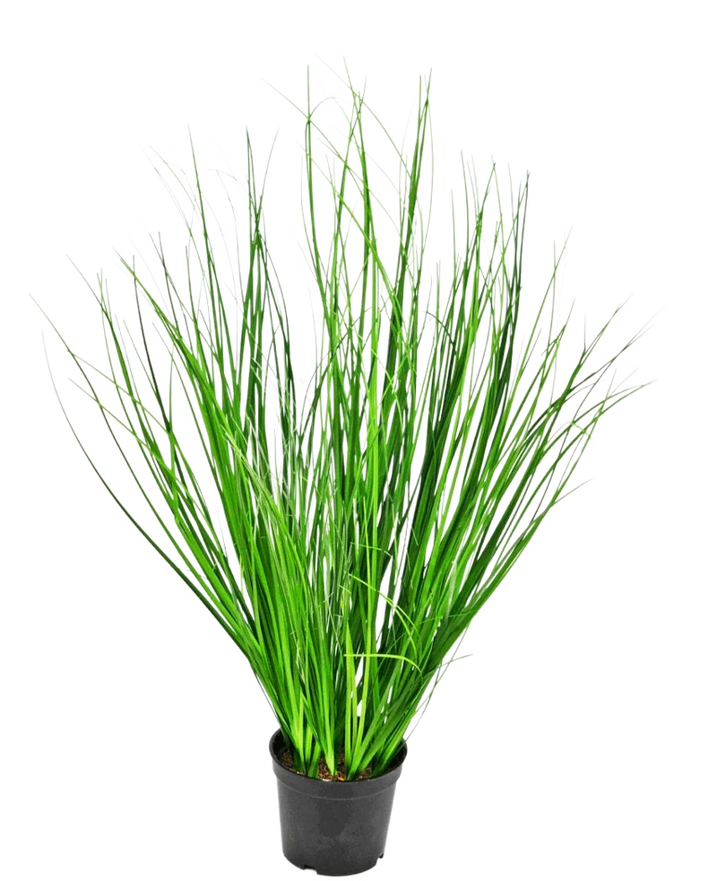 Kunst Grasplant Onion 58 cm brandvertragend