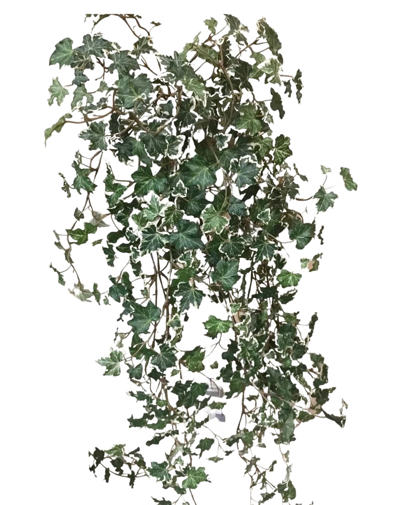 Kunst Klimop Deluxe Rijk Groen-wit 90 cm