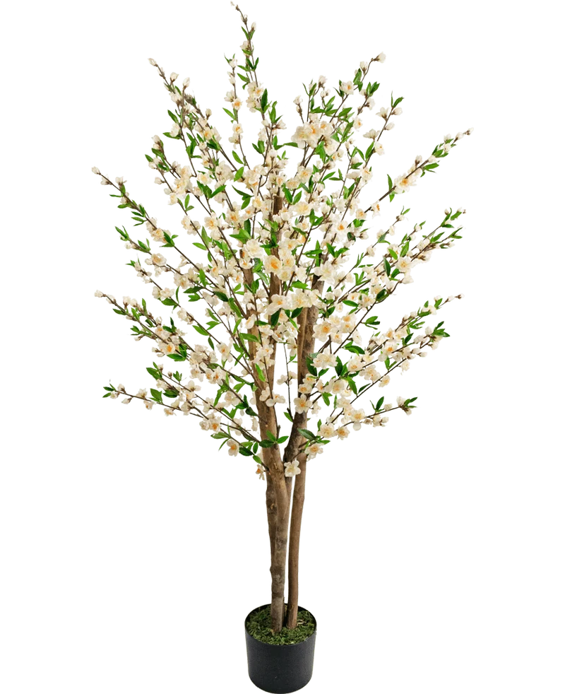 Kunstplant Kersenbloesem 150 cm crème