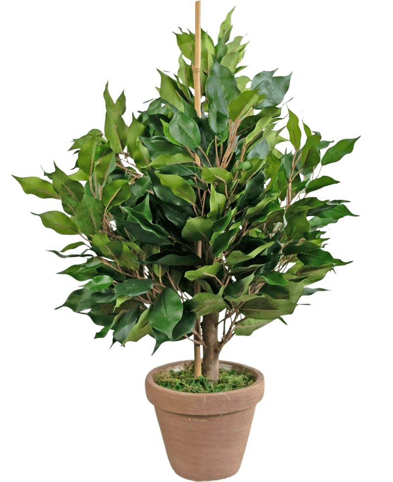 Kunstplant Ficus 60 cm in pot