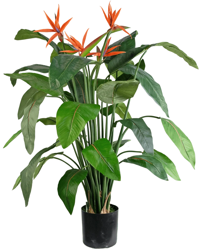 Kunstplant Strelitzia 120 cm
