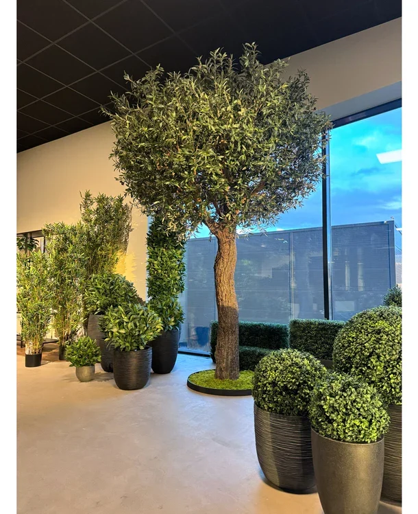 Kunstboom Olijf 300 cm