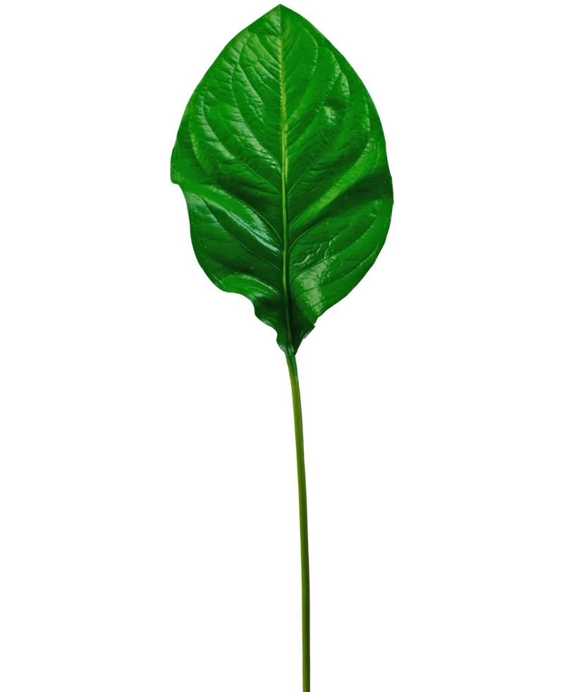 Kunstblad groen 90cm