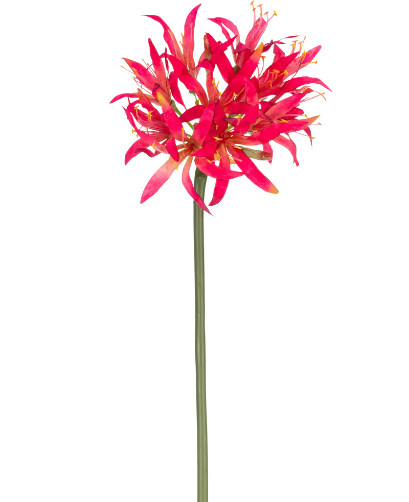 Kunstbloem Nerine 70 cm fuchsia