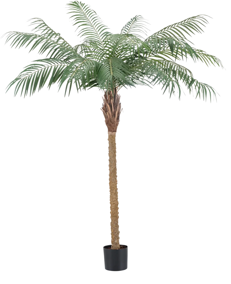 Kunstplant Phoenix Palm De Luxe 180 cm