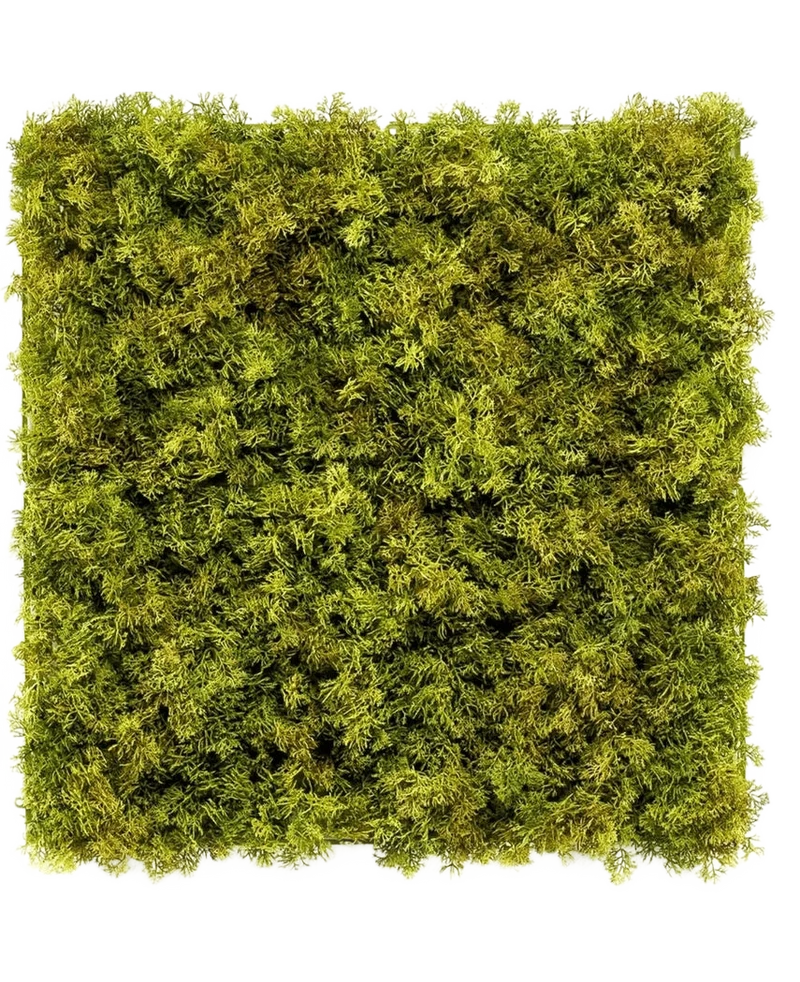 Kunsthaag Nordic Mos 50x50 cm UV