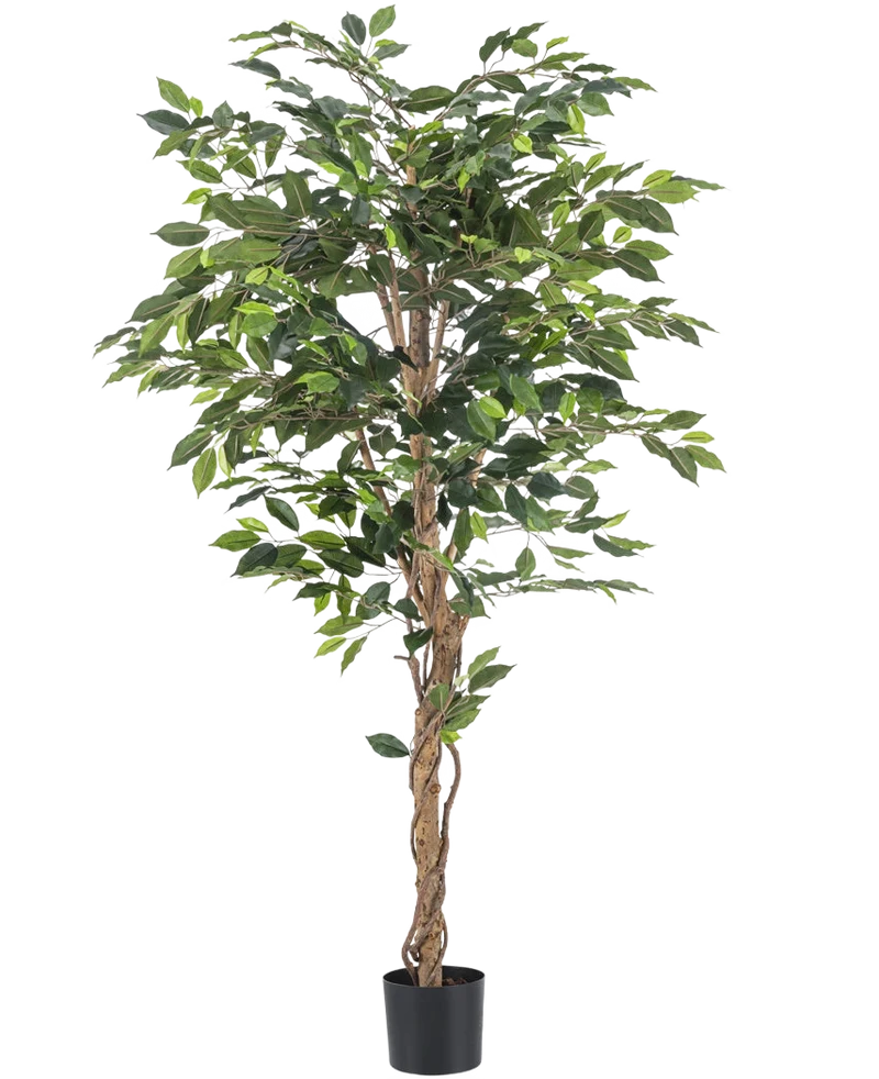 Kunstplant Ficus 180 cm brandvertragend