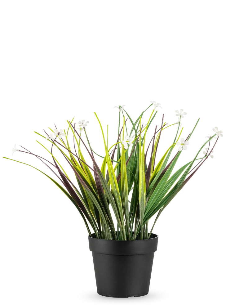 Kunstplant Grasplant in pot UV 26 cm