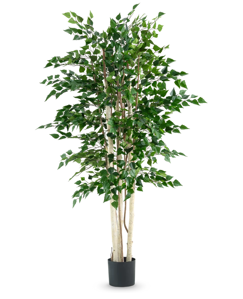 Kunstplant Ruwe Berk 210 cm