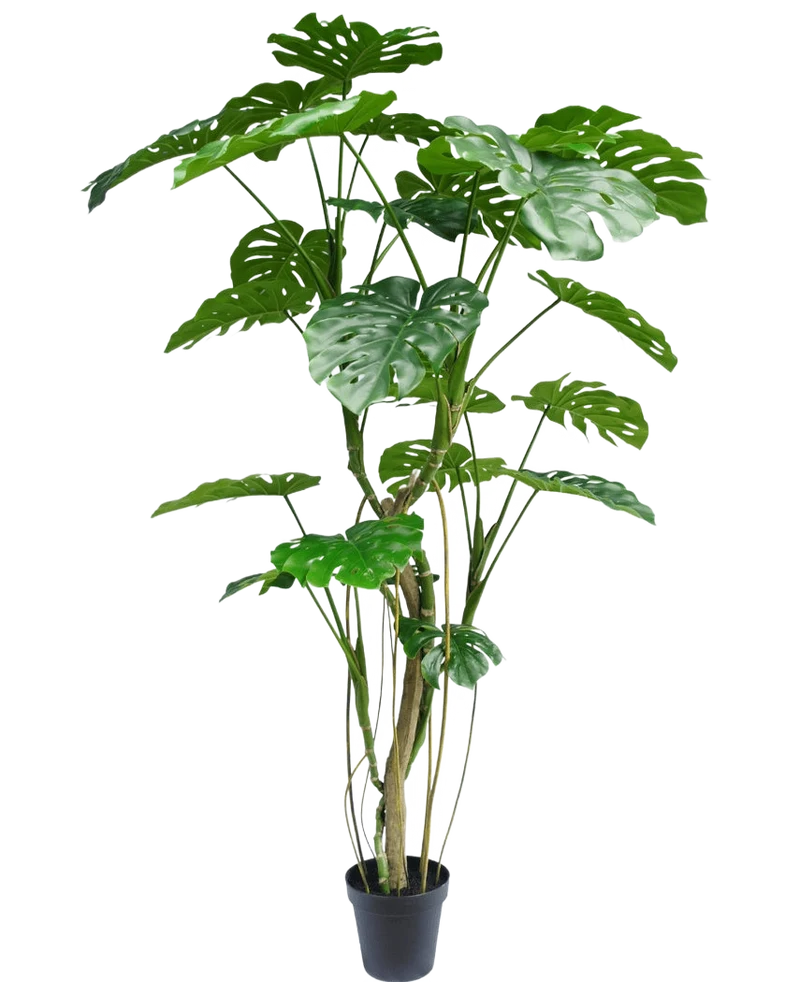 Kunstplant Monstera 210 cm