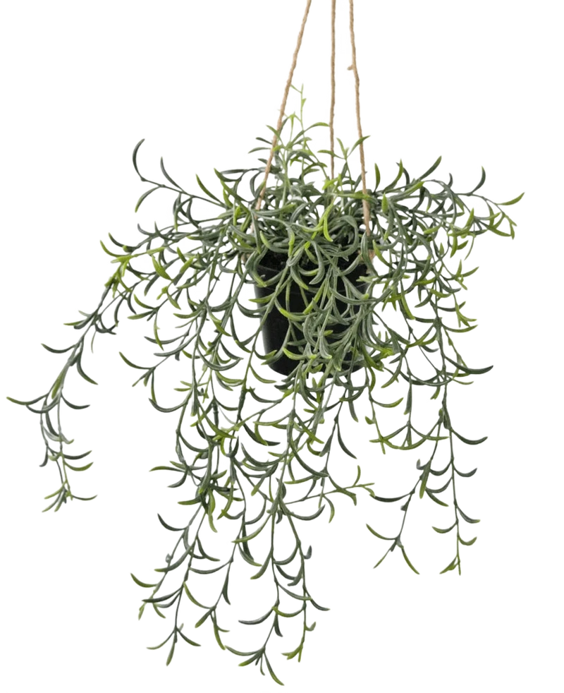 Kunst hangplant Senecio met pot 35 cm