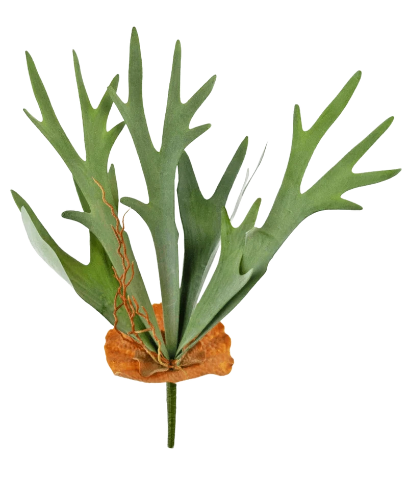 Kunstplant Staghorn 53 cm