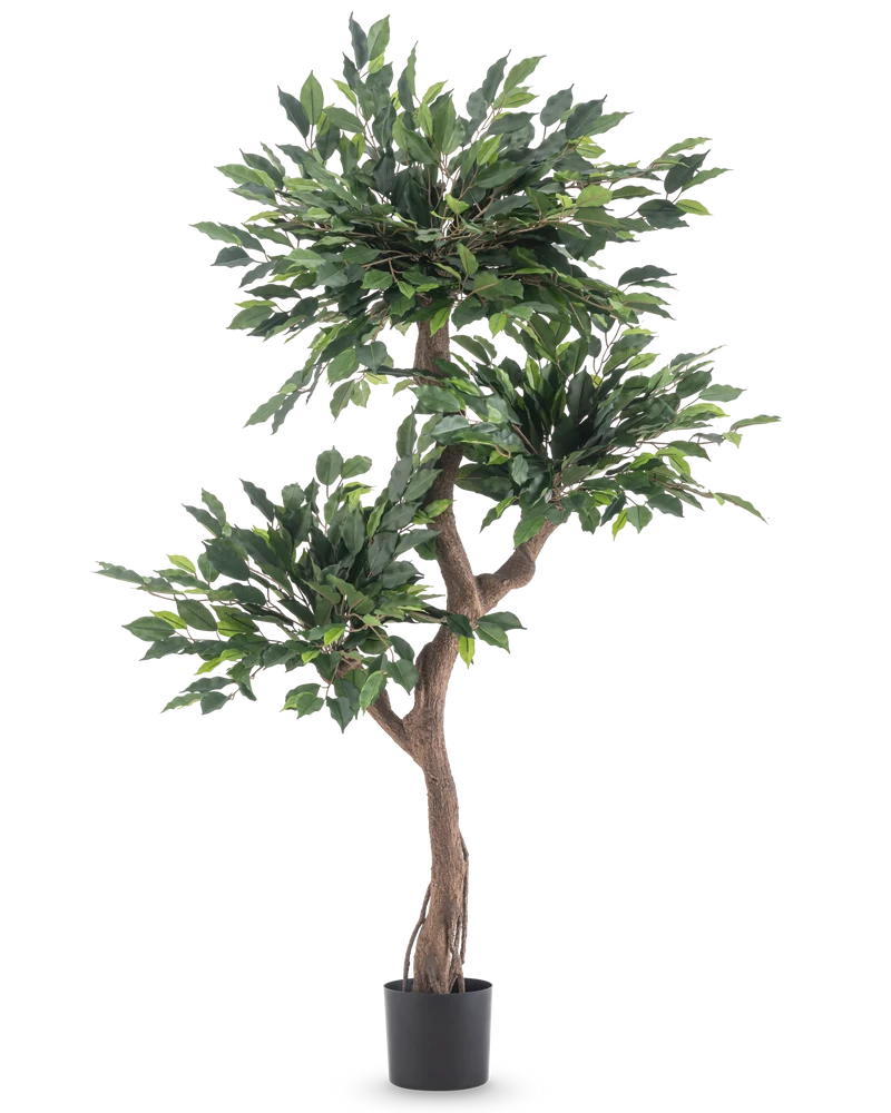 Kunstplant Ficus Crazy 150 cm