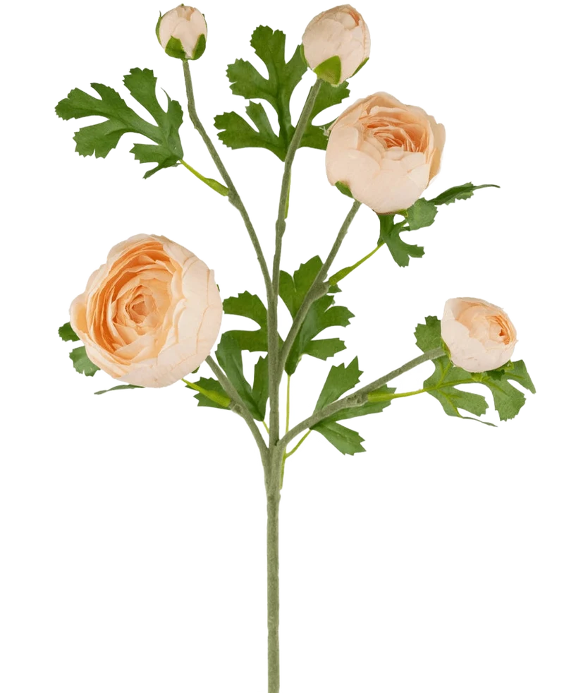 Ranonkel kunsttak x5 Real Touch roze 62cm