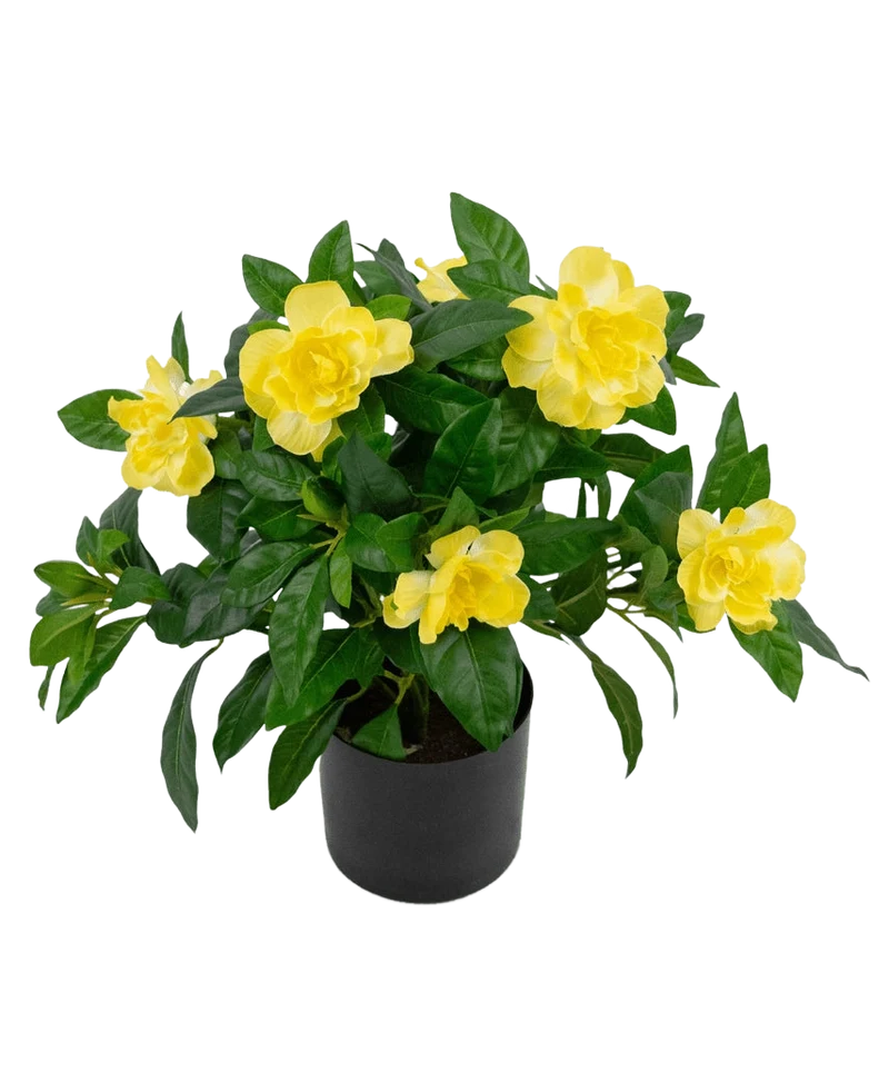 Kunstplant Gardenia UV 39 cm