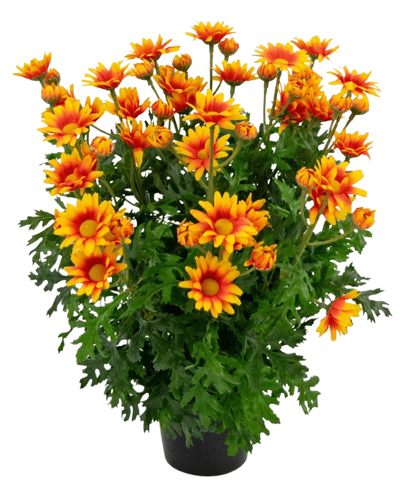 Kunstplant Daisy UV 31 cm