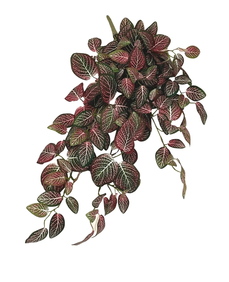 Kunst hangplant Fittonia Rood en wit 70 cm